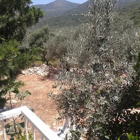فندق Kaptan Yesilvadi Doga Oteli كاس