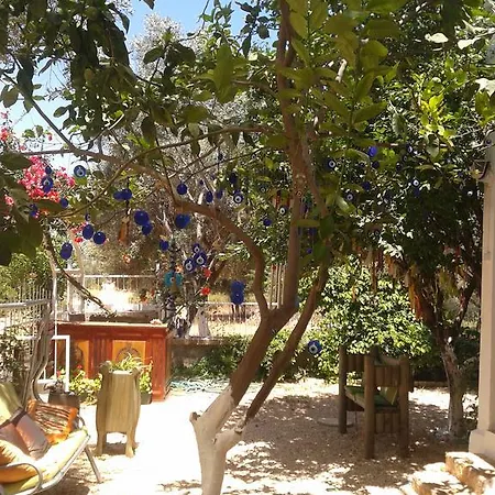 فندق Kaptan Yesilvadi Doga Oteli